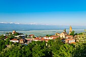 Georgien,Region Kachetien,Festungsdorf Sighnaghi,schneebedeckte Gebirgskette des Großen Kaukasus im Hintergrund