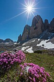 Italien,Trentino-Südtirol,Dolomitenmassiv,von der UNESCO zum Weltnaturerbe erklärt,Drei Zinnen von Lavaredo