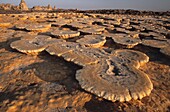 Ethiopia, Danakil Desert, Dallol's explanation of a unique site on Earth lies in the dual game of volcanism and hydrology