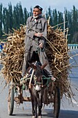 China, Xinjiang autonomous region, Kashgar, livestock market