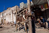 China,Autonome Region Xinjiang,Kashgar,Schmied