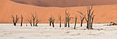 Namibia,Provinz Hardap,Namib-Naukluft-Nationalpark,Deadvlei