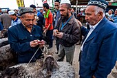 China, Xinjiang autonomous region, Kashgar, livestock market, transaction between farmer and stockbreeder