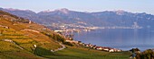 Switzerland, Canton of Vaud, Lavaux Vineyard Terraces listed as World Heritage by UNESCO, it extends from Montreux to Lausanne on 32km along Lake Geneva and 850ha, the village of Rivaz and the city of Montreux in the background