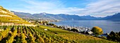 Switzerland, Canton of Vaud, Lavaux Vineyard Terraces listed as World Heritage by UNESCO, it extends from Montreux to Lausanne on 32km along Lake Geneva and 850ha