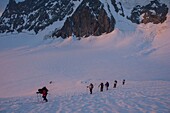 Frankreich,Hautes Alpes,Oisans-Massiv,Nationalpark der Ecrins,Hochgebirgswanderung am Roche Faurio,Cordée in der Morgendämmerung auf dem Glacier Blanc