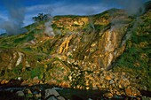 Russia, Kamchatka, Valley of Geysers