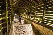 Romania, Transylvania, Sighisoara, is one of the seven fortified cities of Transylvania Saxon, listed as World Heritage by UNESCO, Scara scolarilor (the staircase of schoolchildren), covered wooden staircase