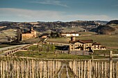 Italy, Piedmont, Province of Cuneo, The Langhe Wine Region, listed as World Heritage by UNESCO