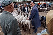 China, Xinjiang autonomous region, Kashgar, livestock market