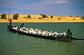 Mali, Sahara, Niger river, Scenes of life on the Niger River