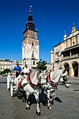 Polen,Woiwodschaft Kleinpolen,Krakau,Stadtteil Stare Miasto,Weltkulturerbe,Altstadt,Marktplatz,Tuchhalle,Pferdekutschen vor dem Belfried