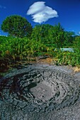 Russia, Kamchatka, Sources of mud in the Uzon caldera, Kamchatka