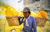 Indonesia, Java, Harvesting and carrying sulfur in the crater of Kawah Ijen volcano