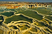 Ethiopia, Danakil Desert, Dallol's explanation of a unique site on Earth lies in the dual game of volcanism and hydrology