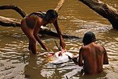 Ecuador, Orellana, Rio Cononaco, Family Fishing, the Huaorani are one of the last two tribes of hunter-gatherers living in the heart of the rainforest of Ecuador