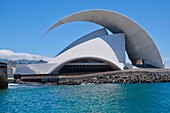 Spain, Canary Islands, Tenerife Island, Santa Cruz de Tenerife, auditorium of Tenerife Adan Martin designed by the Spanish architect Santiago Calatrava and inaugurated in 2003