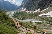 France, Hautes Alpes, massif of Oisans, national park of the Ecrins, high mountain hike to the Roche Faurio, the father of mrs. Carle and the torrent of saint Pierre since the first laces of the montee towards the refuge of the glacier Blanc