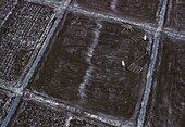 Philippines, Luzon Island, Pinatubo Volcano, 1991 Pinatubo Volcano Eruption from the Sky (aerial view)