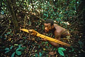 Congo, East, Lobeke, Baka men hunt and trap in the surrounding forest with poisonous arrows and spears