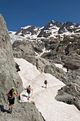 Frankreich,Hautes Alpes,massif de l'Oisans,parc national des Ecrins,randonnee haute montagne a la Roche Faurio,passage d'un neve et la pointe Cezanne