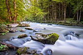 Georgien,Region Samtskhe-Javakheti,Ferienort Borjomi,Zentraler Park,Fluss Borjomula