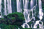 Argentinien,Provinz Misiones,Iguazu,die Iguazu-Wasserfälle gehören zum Weltkulturerbe der UNESCO