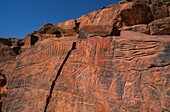 Libya, Sahara, Rock carvings from Messak Settafet