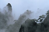 China,Ostprovinz,Huangshan-Gebirge