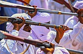 Algeria, Tamanrasset, Dar Mouli, the baroud also called the dance with rifles