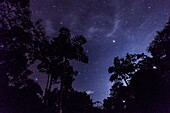 Ecuador, Tena, immersion life experience with the Waoranis of the Rio Nushino, night above the jungle