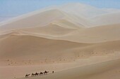 China,Provinz Gansu,Dunhuang,Mingsha-Sanddünen,Trekking auf dem Rücken eines Trampeltiers,ganz im Sinne der Seidenstraße