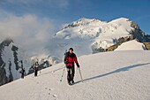 Frankreich,Hautes Alpes,Oisans-Massiv,Nationalpark der Ecrins,Wanderung auf den Roche Faurio,Cordée auf dem Gletscher des Roche Faurio vor der Kuppel und der Bar der Ecrins