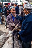 China, Xinjiang autonomous region, Kashgar, livestock market, transaction between farmer and stockbreeder