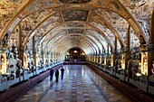 Deutschland,Bayern,München (München),Münchner Residenz (Residenzmuseum),das ehemalige Königsschloss,der Renaissance-Antiquariumsaal