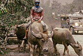 Philippines, Luzon Island, Pinatubo Volcano, 1991 Eruption of Pinatubo Volcano and Evacuation