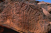 Libya, Sahara, Rock carvings from Messak Settafet