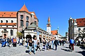 Deutschland,Bayern,München (München),Viktualienmarkt,der größte Markt der Stadt,der seit 1807 besteht,Galerie und das Alte Rathaus