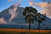 Rwanda, Northern Province, Volcanoes National Park, Rwanda, Northern Province, Volcanoes National Park includes five of the eight volcanoes of the Virunga Mountains