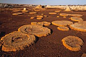 Ethiopia, Danakil Desert, Dallol's explanation of a unique site on Earth lies in the dual game of volcanism and hydrology