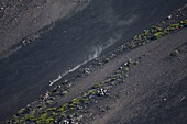 Italy, Sicily, Mount Etna Regional Nature Park, Mount Etna, UNESCO World Heritage Site, North Slope