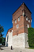 Polen,Woiwodschaft Kleinpolen,Krakau,Bezirk Stare Miasto,Weltkulturerbe,Altstadt,Wawelhügel,Wawelschloss und Basilika St. Stanislaus und Wenzel