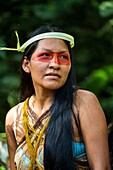 Ecuador, Tena, immersion life experience with the Waoranis of the Rio Nushino, young woman's portrait