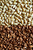 Peeled, blanched almonds, divided into shell and white almonds from above