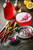 Beautiful pink cocktail with frothy top in coupe glass with rhubarb curl and sprinkled berry powder garnish, fresh rhubarb stalks and syrup in background