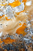 USA,Wyoming. Abfluss einer heißen Quelle,Yellowstone National Park.