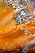 USA,Wyoming. Abfluss einer heißen Quelle,Yellowstone National Park.