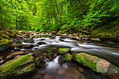 Tanner Creek, Columbia River Gorge National Scenic Area, Oregon, USA
