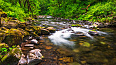Tanner Creek, Columbia River Gorge National Scenic Area, Oregon, USA