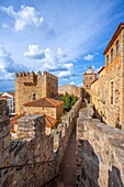 Old walls, Caceres, UNESCO World Heritage Site, Extremadura, Spain, Europe